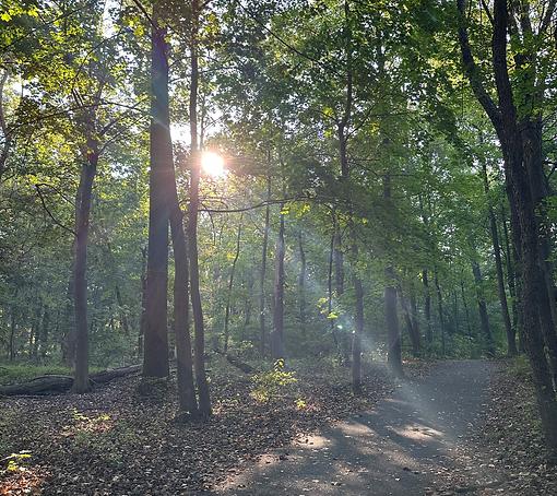 In Ohio There is a Window Always Open - Poetry