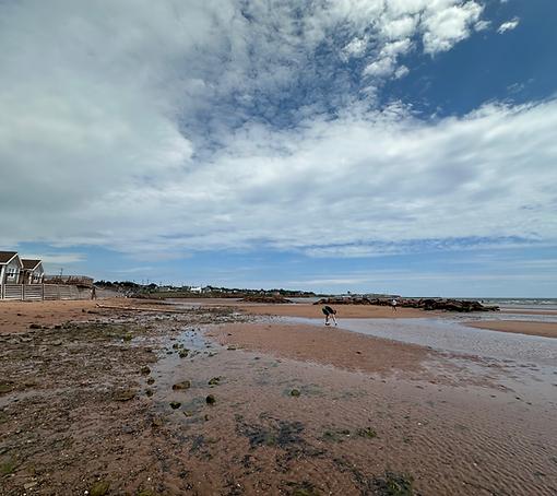 Those Who Splinter - Essay