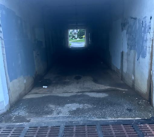 "Tonight, An Unstitched Wound" - Poetry