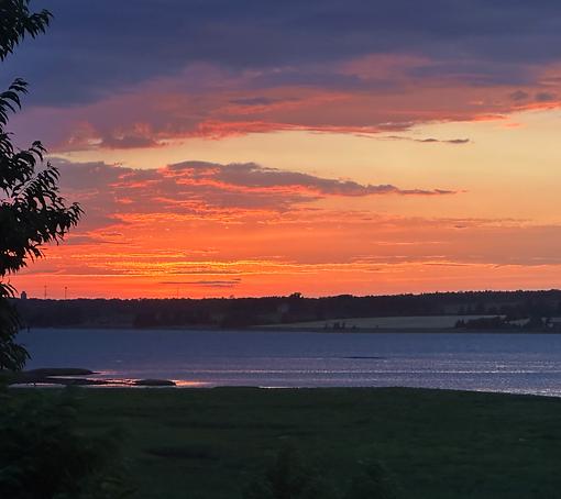 We All Want to Believe Someone, Somewhere, Would Die For Us - Essay